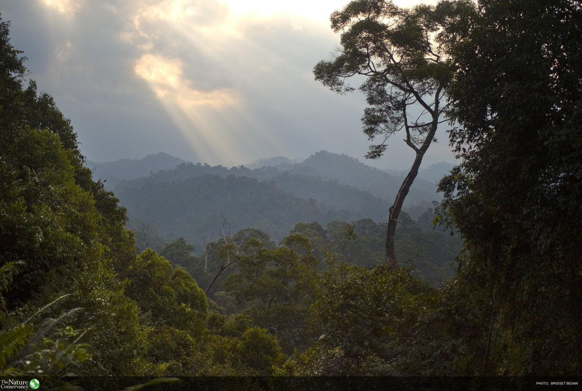 UNEP's tweet photo. Natural climate solutions need substantial investment, writes @nature_org. Could sustainable land bonds be the answer? https://t.co/SOR0q5PYDa #nature4climate https://t.co/kv94Ww4roJ