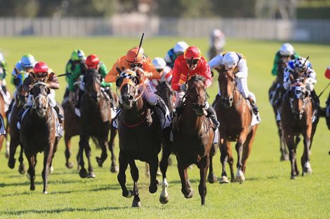 DAprNZ's tweet photo. Been a great weekend in Sydney! A brave 4th in the ATC Derby for Vin De Dance, the winner and runner-up were just too good! Thanks #BrettD for the golf β³οΈποΈββοΈ @atc_races & @FlyAirNZ πππΌ #koru https://t.co/HdvR884sZ1