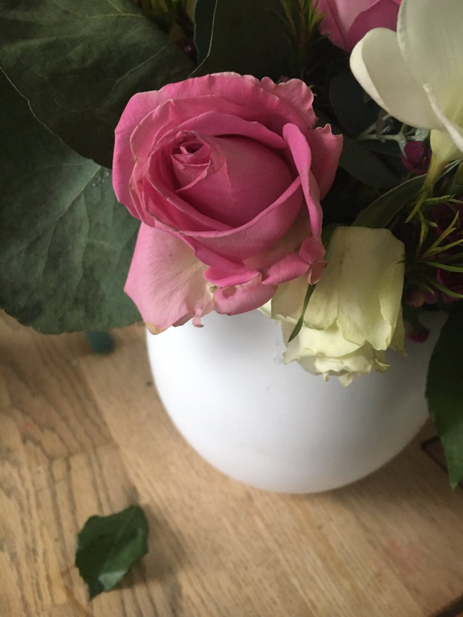 vitorinadw's tweet photo. .@marksandspencer It was my 10th wedding anniversary on Friday. My husband ordered flowers. We got home at 10pm and still nothing. Woke yesterday to find them on the doorstep. Now they're already dying and dropping leaves. Not the service or quality we expect from M&amp;S! https://t.co/BcDCEcvBaO