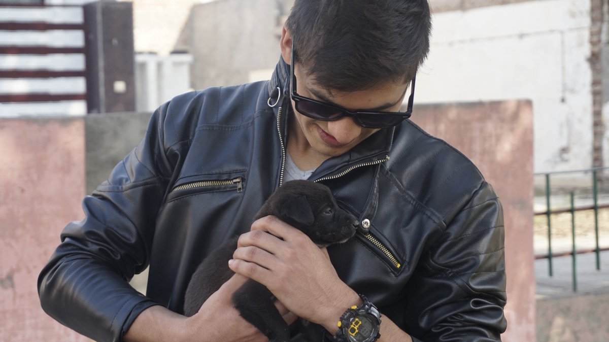 negiashish11's tweet photo. give your heart to dog
they will never break it
#dogilover https://t.co/ZKJMqn2YB5