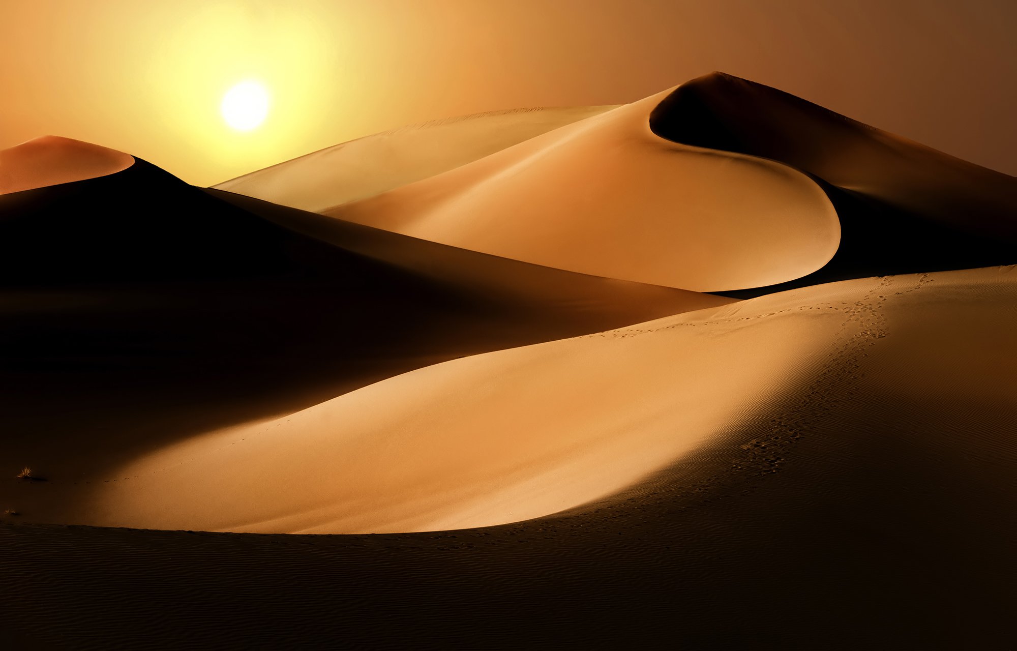 Le SAHARA, le plus grand désert du monde... - Page 3 DaPyK2iWkAAgaRC