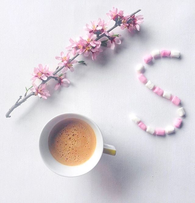 ana_cocinitas's tweet image. S p r i n g S u n d a y 🌸

Parece que la primavera ha venido pero no para quedarse, porque aunque hoy haga sol, la semana que viene vuelve a complicarse otra vez 😒 Que ganas tengo de buen tiempo y vosotros? 🌷
Buenos días! ☀️
.
.
.
.
#instcoffee #… ift.tt/2GMeaPl