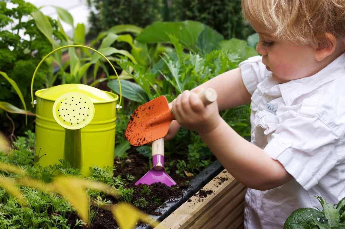 One99_Brand's tweet photo. Do you want to play with your kids in the garden ? Preparing some tools and have fun :) . #kidsgarden #gardening #gardeningtools #yardtools #landscapingtools #bestweedtrimmer #gardenhandtools #gardenmultitool #urbangarden #urbangardening #kidslife #Twitter #time #School https://t.co/8YJjYIbpmz