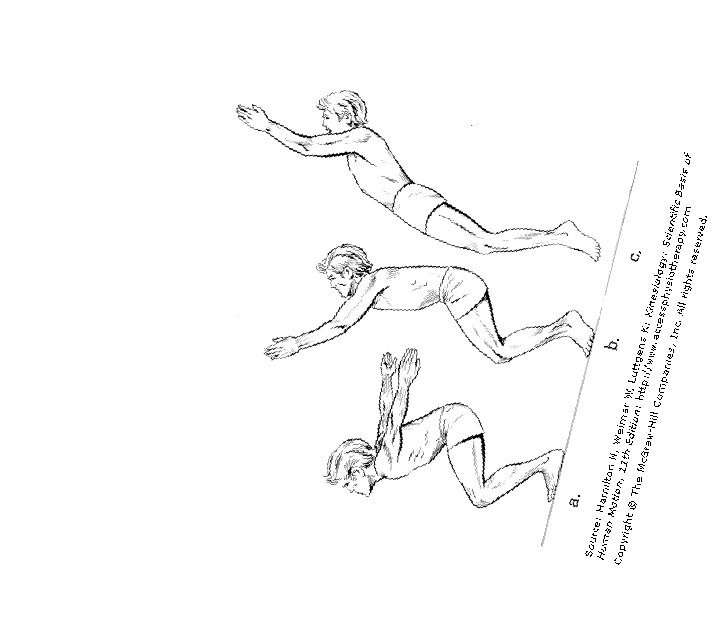 The Island of Doctor Thoreau (DoctorThoreau) Twitter