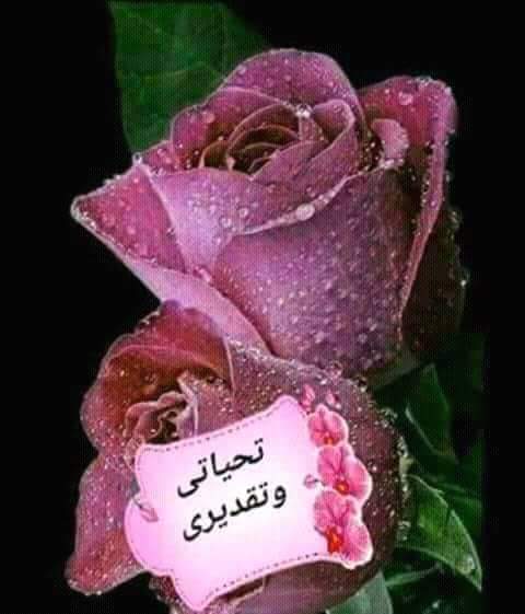 ������ ���� ������ �� ���� ������