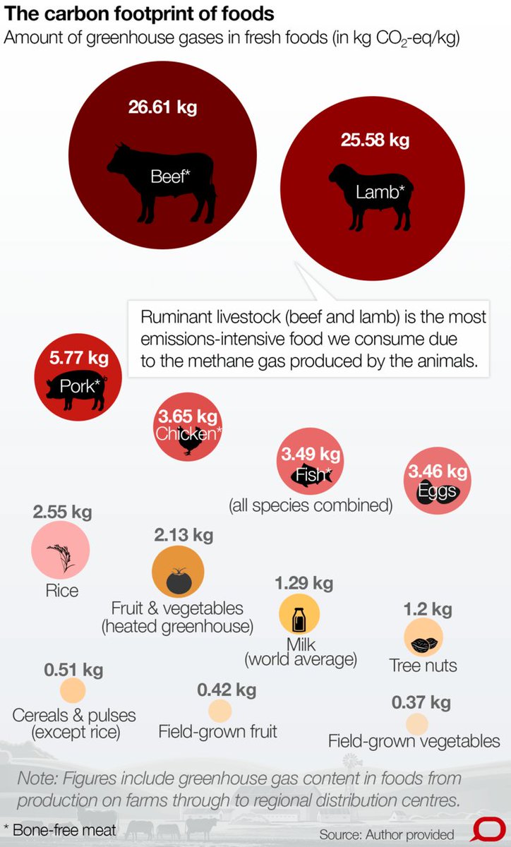 World Economic Forum tweet media