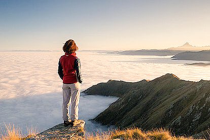 nowgoingup's tweet image. You’ve been gone one year.
I didn’t think I’d make it,
Yet here I am.
Life, as they say,
Does go on,
Even if your taste for living it
Is gone.
#SundayMorning #SundayThoughts #grief #missyou #iloveyou❤️