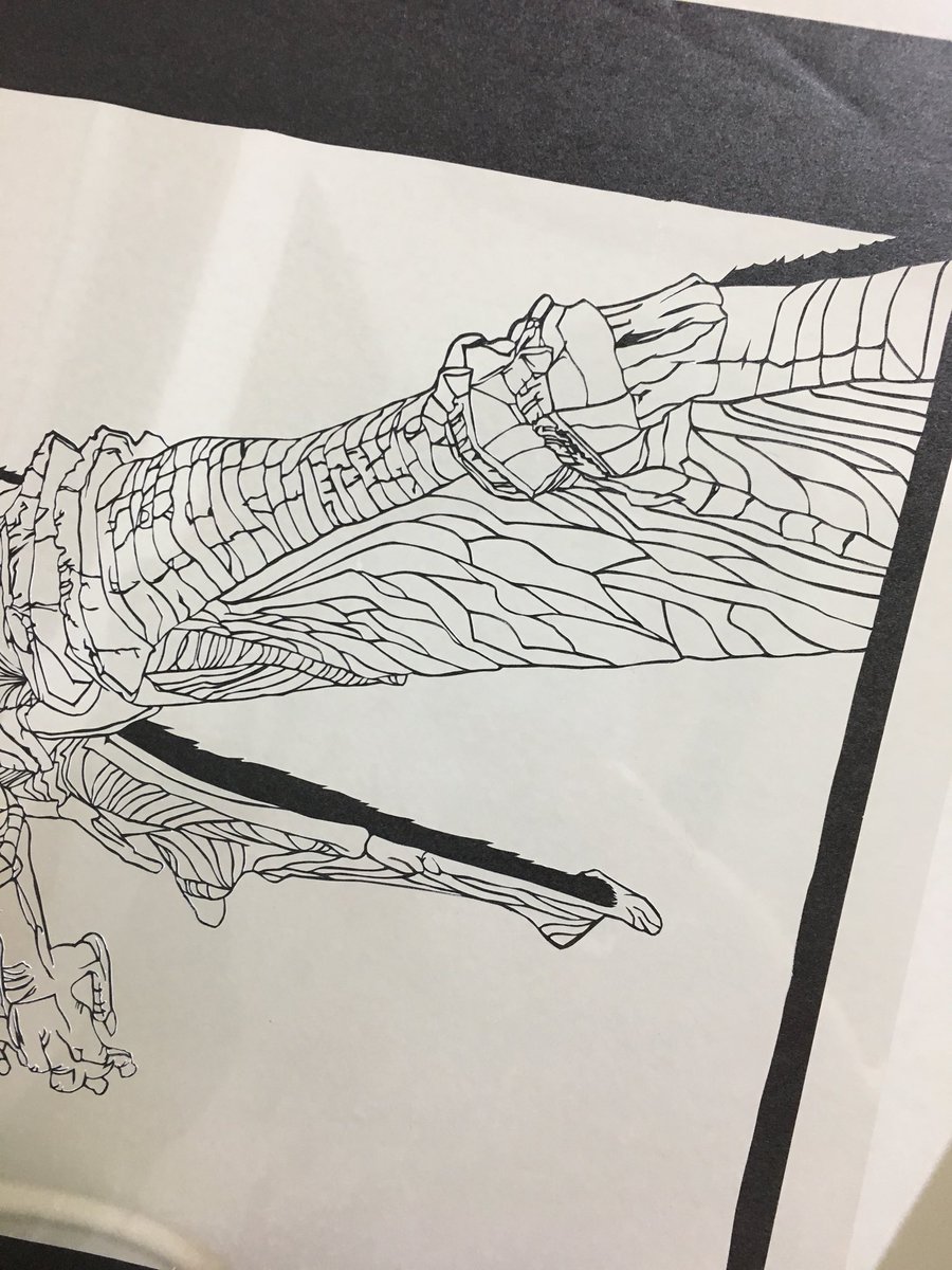 mad_jack_in_box's tweet photo. ワンダと巨像より 第五の巨像
Shadow of the Colossus - The fifth colossus AVION
#切り絵 #ワンダと巨像 #PS4 https://t.co/9gHE96hbKP