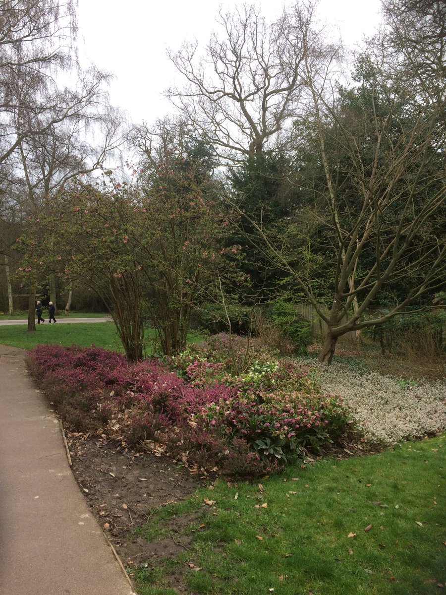 AmyBatchelor90's tweet photo. Took my chance to #ConnectWithNature by laying on the grass by the @EMCCHotel and #walking around the lovely grounds #RSPBweekend https://t.co/rfM6DxEOfc