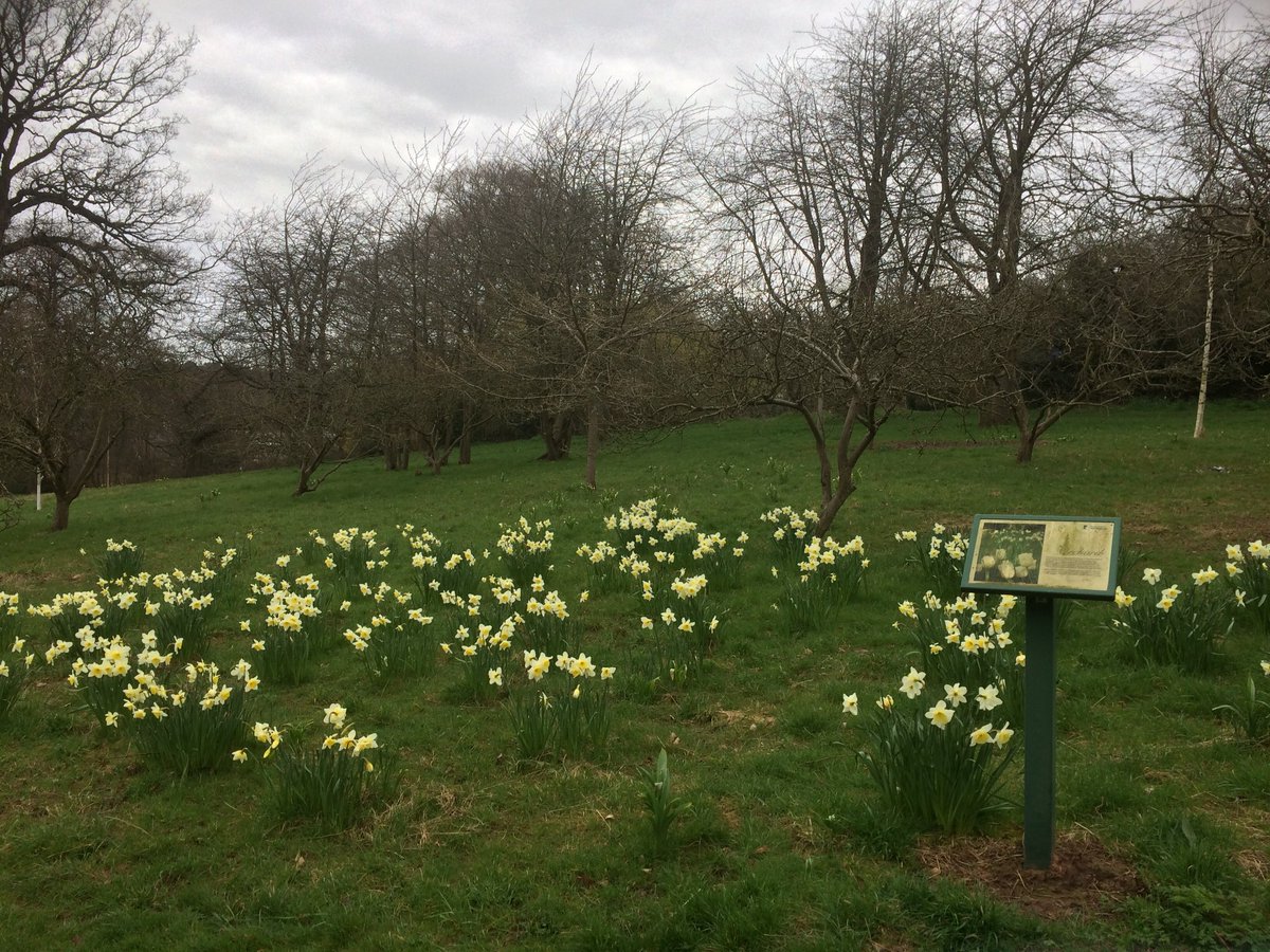 AmyBatchelor90's tweet photo. Took my chance to #ConnectWithNature by laying on the grass by the @EMCCHotel and #walking around the lovely grounds #RSPBweekend https://t.co/rfM6DxEOfc