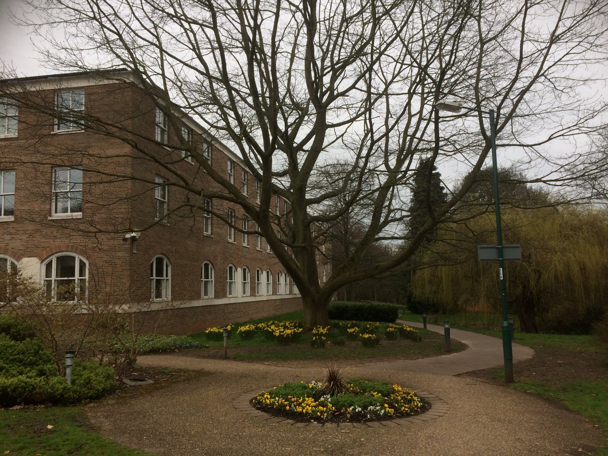 AmyBatchelor90's tweet photo. Took my chance to #ConnectWithNature by laying on the grass by the @EMCCHotel and #walking around the lovely grounds #RSPBweekend https://t.co/rfM6DxEOfc