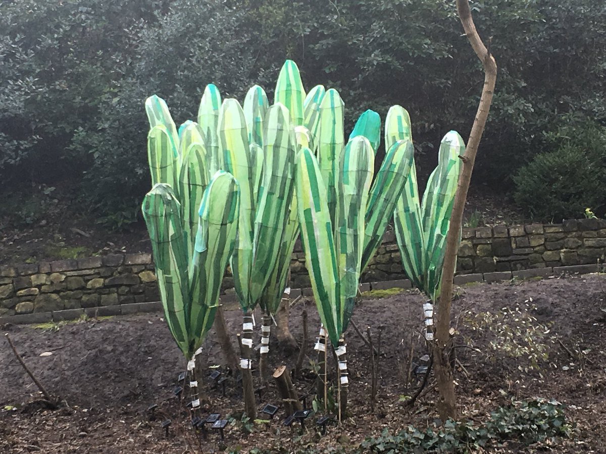 lucindahawksley's tweet photo. Wemmick’s Giant Cucumbers in St Leonard’s On Sea, Sussex. #GreatExpectations @ExploreArch @DickensFellowHQ @DickensMuseum https://t.co/RcpZZpoma4