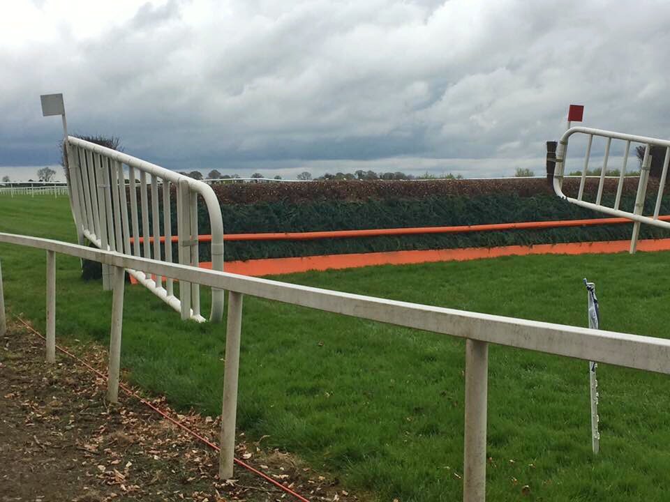 NaasBall's tweet photo. 2 weeks until walking Sunday @punchestownrace  The pre festival tradition where in the past the course was walked and inspected with repairing of divots by walking on them. Nowadays it’s a walk for every family member even the little hairballs!! #Naas #Punchestown #WalkingSunday https://t.co/0IscOSqNHI