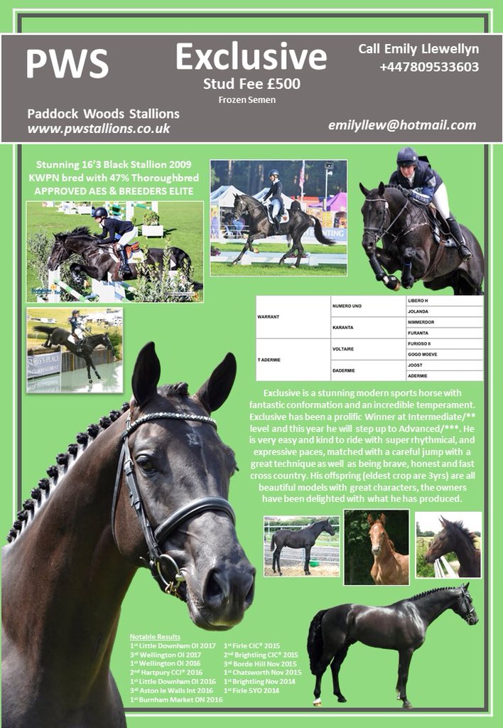 Emily Llewellyn (@emily_llewellyn) on Twitter photo 