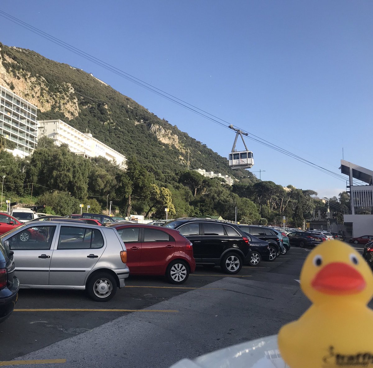 ... and then maybe a trip up the #rock in the @CableCarGib @MHBland @VisitTheRock #ducktravels #cablecar #followme @walkwithmegib #adventures #gibraltar #instagram
