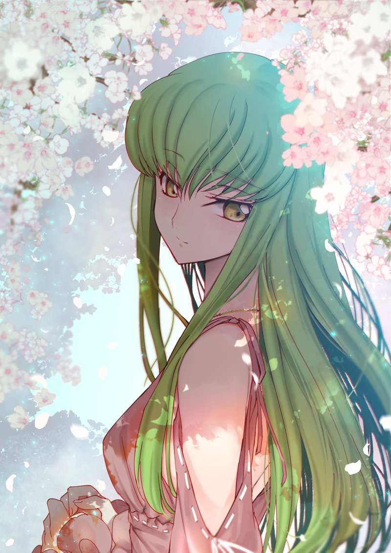 ccreayus's tweet photo. 春 https://t.co/bUAttsNqtG