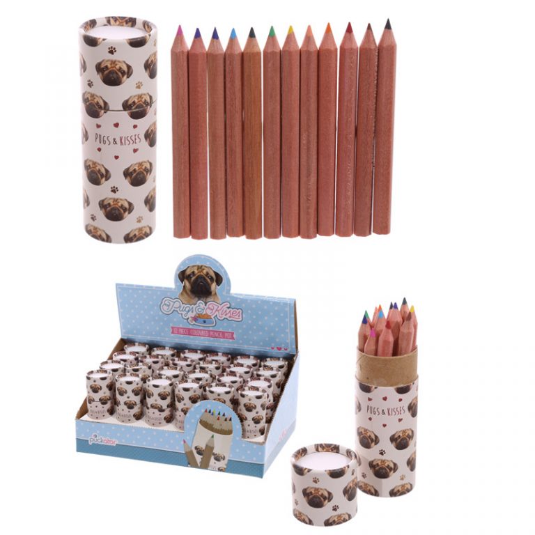 Giftdom1's tweet photo. Fun Kids Colouring Pencil Tube - Pug Design https://t.co/tYQpy9SZZl #pugthemedgifts #othernovelty #dogthemedgifts https://t.co/uPMEmSoaX7