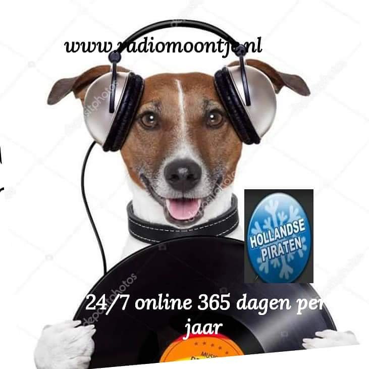 RadioMoontje's tweet photo. Hallo allemaal 
We zijn weer live 
Je kan weer luisteren naar de klankjes van onze Lady Zilverbird 
Kom er vandaag gezellig bij en vraag ze aan via de verzoekbox 
Wij van Radiomoontje wensen iedereen veel luister plezier en een fijne dag 
https://t.co/H7Ev2n9C7Z https://t.co/ApzyOvjW7p