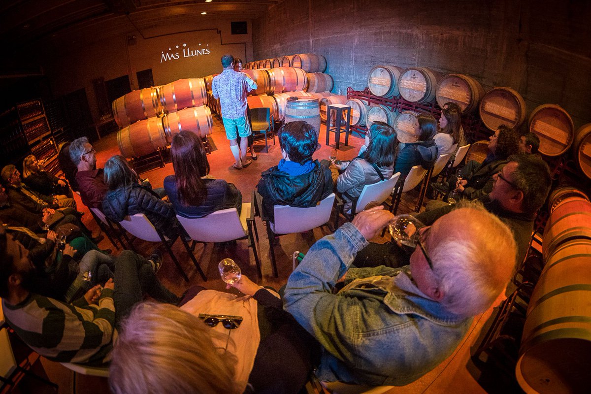 EmpordaWine's tweet photo. 🎭🍷 Ahir a #Garriguella vam viure 'Escenes entre vinyes', #microteatre i #vi amb @PindolesFest al @CellerMasLlunes, @Masetplana i @coopgarriguell. Viu aquesta experiència única dissabte que ve a #Capmany: https://t.co/7y8cqbu1uT
Fotos: Borja Balsera 📸 #vividcostabrava https://t.co/tcS6V4lrNp