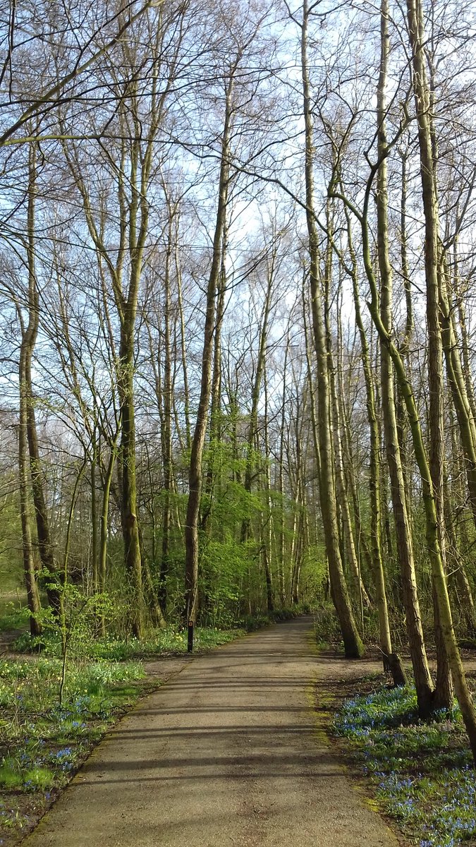 Lizzy_NL's tweet photo. Walk in the park 🌳🌿🌱 #SpringSpring https://t.co/Oh3MICYuks