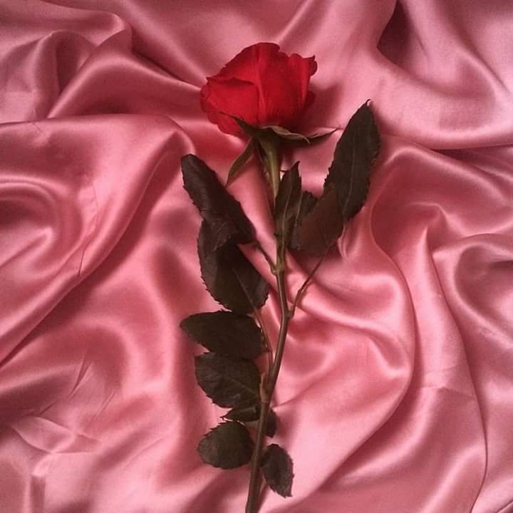 shdo0112's tweet photo. 아핥때  올렷던것도  그냥  다  다시  올릴게요 🤹‍♀️
📌 저장시  RT필수
📌 그냥  RT만  해주세요

#PremiosMTVMiaw #MTVBRKPOPEXO @weareoneEXO https://t.co/1AAm7sh3v8