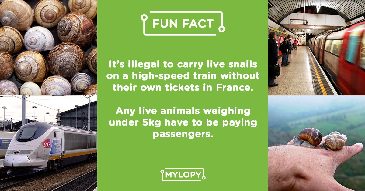 my_lopy's tweet photo. Did you know that you have to buy a train ticket for live animals under 5kg on French high-speed trains?
#Funfact #Travel #Train #Sundayfunday #TRLT https://t.co/F6c4h12mL0