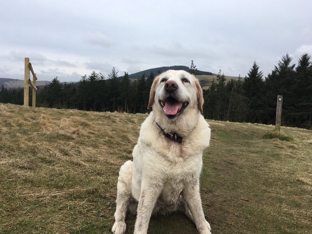 Retired Faith tweet media