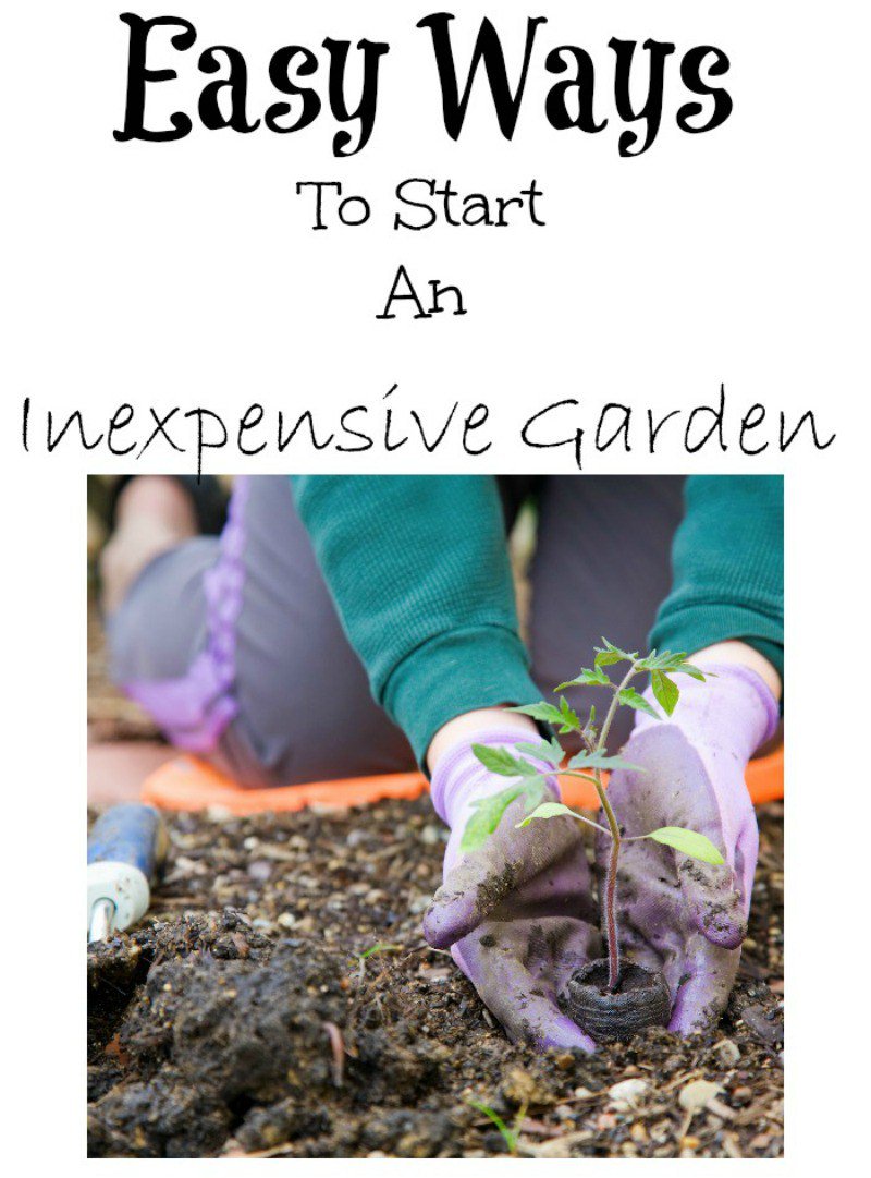 mdefined's tweet image. Easy Ways To Start An Inexpensive Garden motherhooddefined.com/inexpensive-ga…