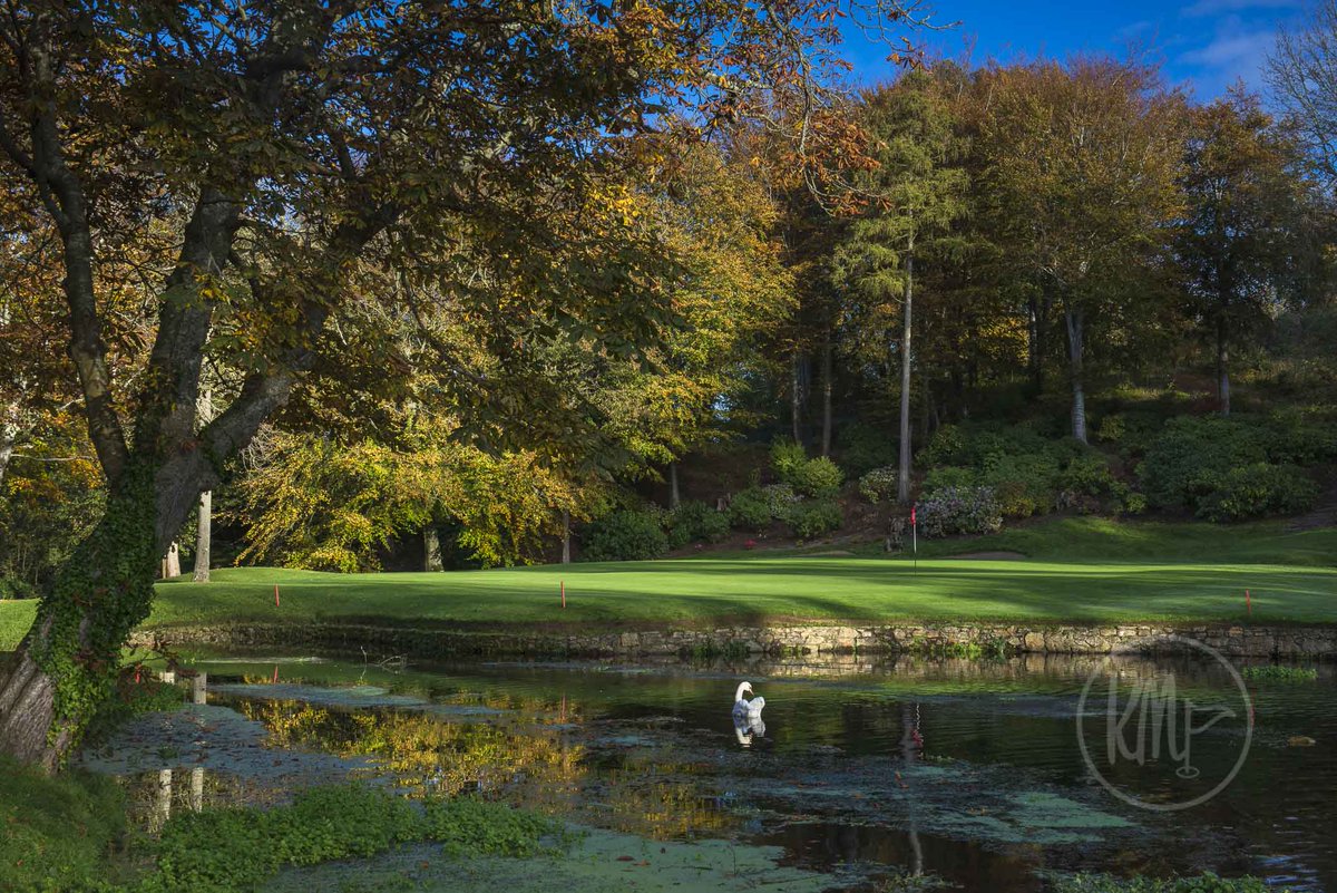 Kevin Markham tweet media