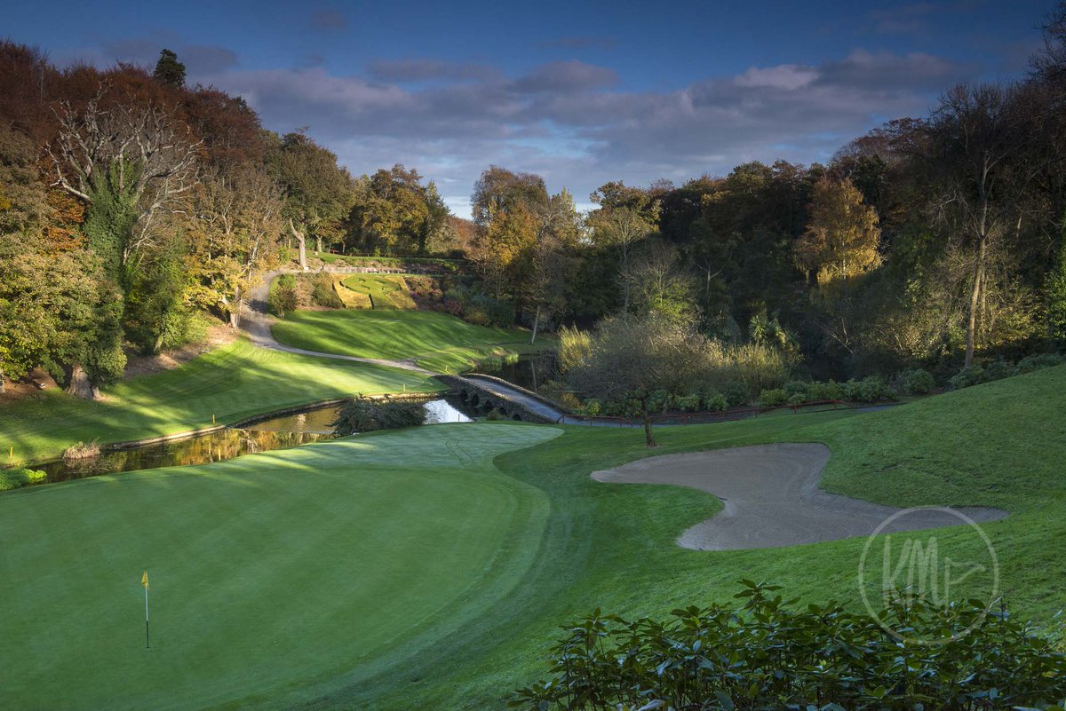 Kevin Markham tweet media