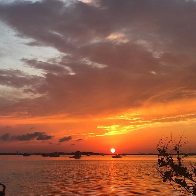 leightonoc's tweet photo. Sunrise #5 #sunrise #floridasunrise #keywestsunrise #paradise #photographersparadise #workingvaca #workingonthebeach #kw #keywest #fla #thekeys #florida https://t.co/4pX7PV5Gbs