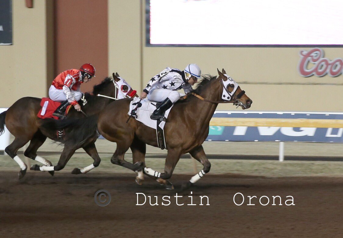 BobMooreFarms's tweet photo. Congratulations to the connections of High Rate Policy by #HighRateOfReturn, maiden winner in last night's Remington Park Futurity trials! Bred by Clay Seal, owned by Juan and Rosa Reveles, trained by Maria Elisa A. Barraza-Rodriguez, ridden by Brayan Velazquez. https://t.co/pKtX1WE0cE