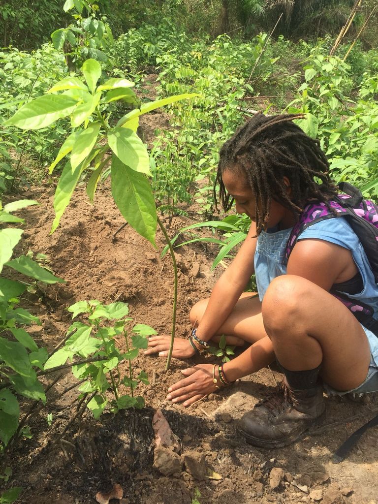 HABESHAINC's tweet photo. We have so many projects to complete this growing season! Volunteer with us today at HABESHA Gardens from 3PM-7PM! 477 Windsor St SW, Atlanta, GA 30312!#HABESHAinc #HABESHAGardens #DunbarCenter #Volunteer #Atlanta #Agriculture https://t.co/17ACoRRwev