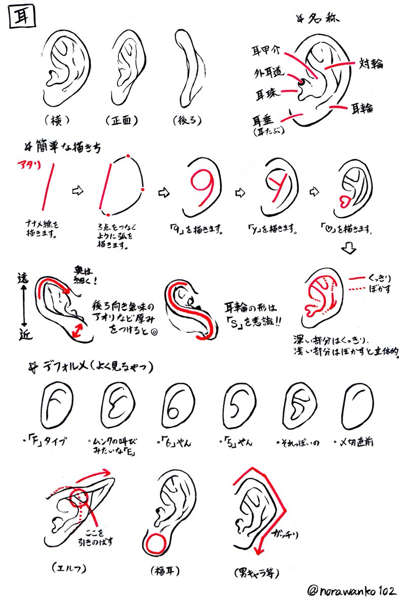Twitter पर のらわんこ 耳の簡単な描き方
