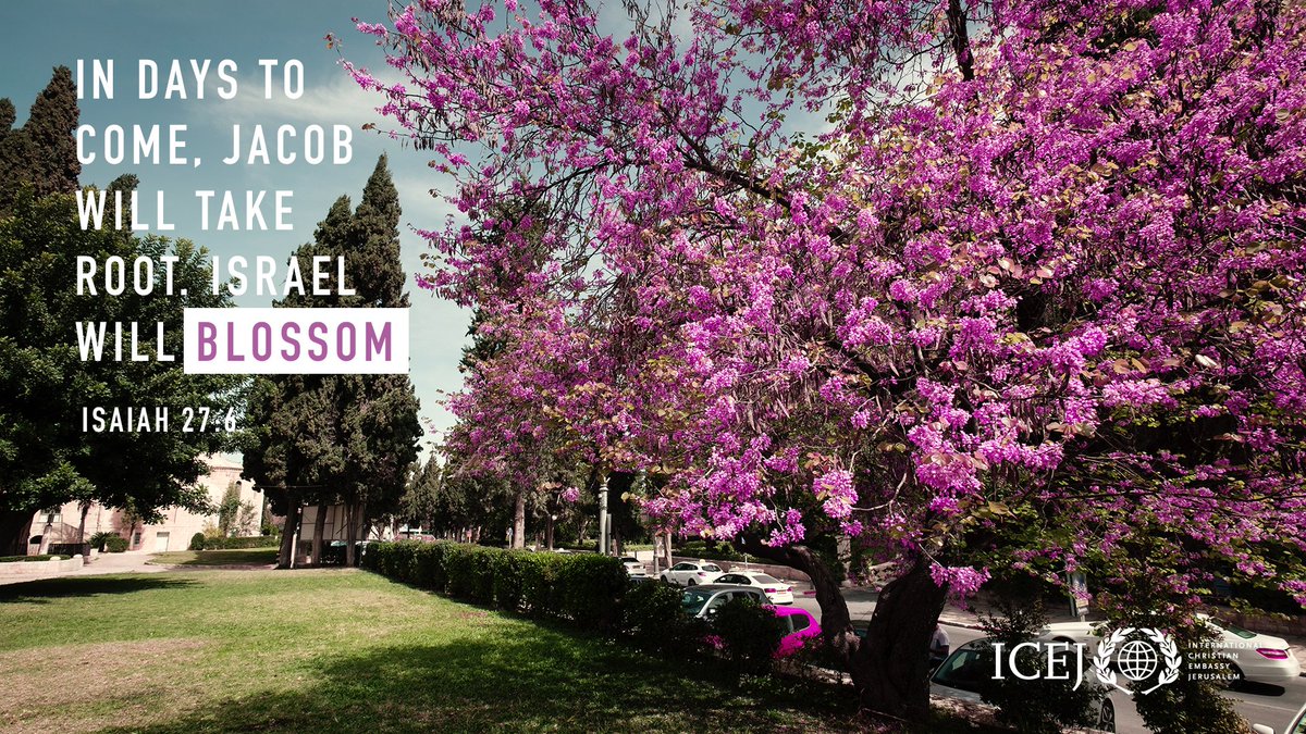 ICEJofficial's tweet photo. We put our trust in a God who keeps and performs what He has said. #CovenantRealities #CovenantGod #Israel #RootofJacob #Israel #ICEJ https://t.co/M0auTLvp2e