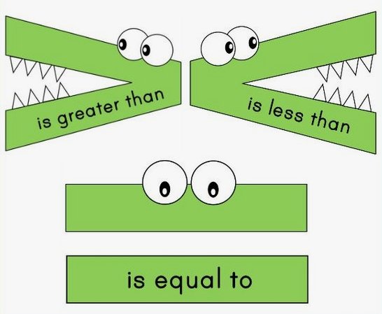 Anique Giusti tweet media