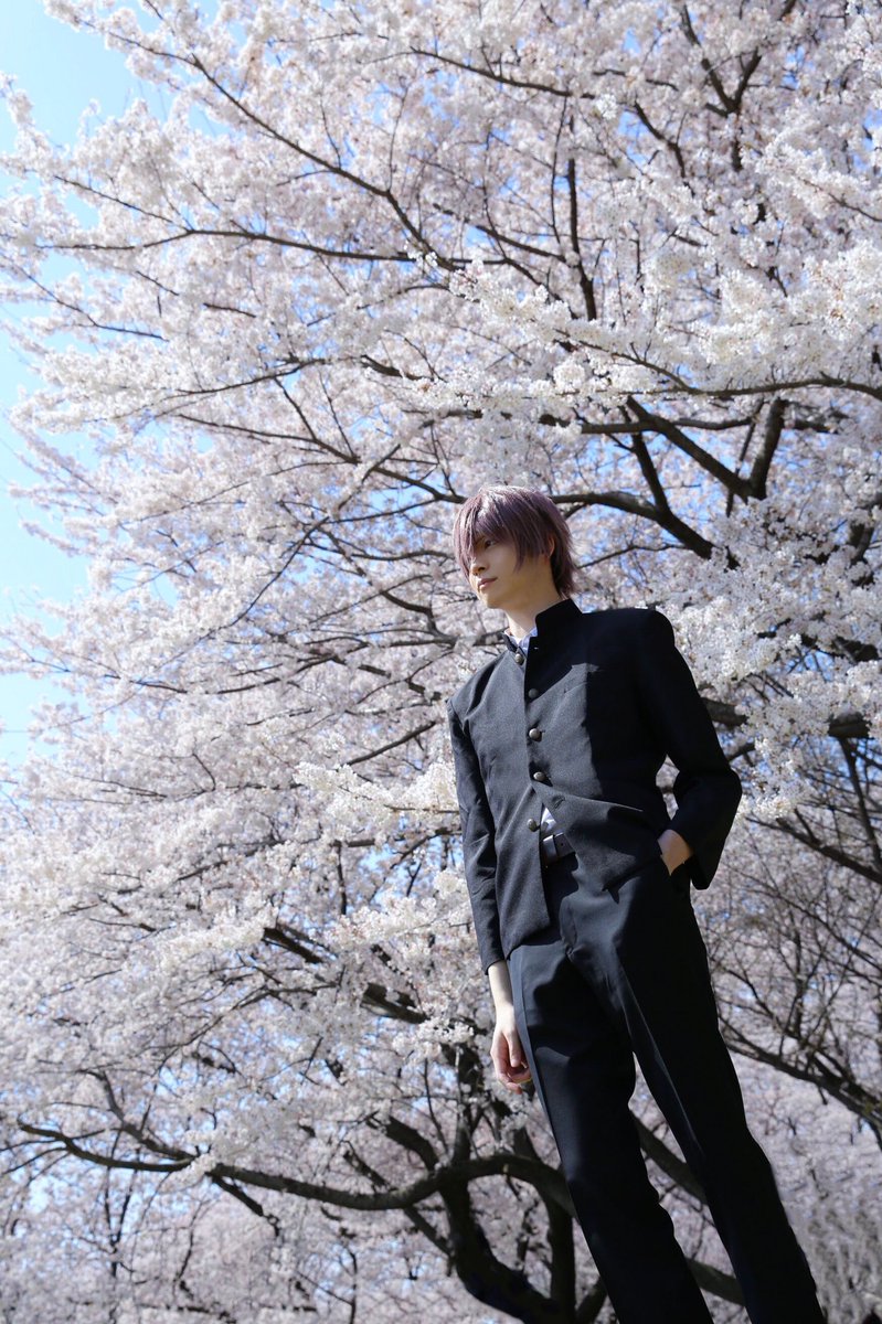 サクラノ詩-櫻の森の上を舞う-】 草薙直哉:Taka 夏目藍:ゆらさん Photo