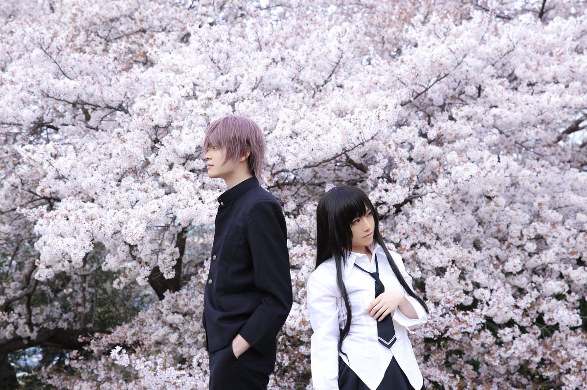 サクラノ詩-櫻の森の上を舞う-】 草薙直哉:Taka 夏目藍:ゆらさん Photo