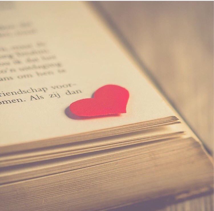 keepstpetelit's tweet photo. What are you reading this weekend? #keepstpetelit #keepfloridalit #keeptheworldlit #readersareleaders #readlocalstpete https://t.co/Zm8PTRL9UK