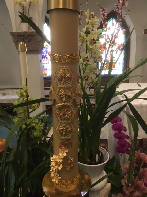 OSBBristowVA's tweet photo. All that is alive, praise. Praise the Lord. Hallelujah! Ps.150 #lauds #EasterContinues Keep saying those #Alleluias and #Hallelujahs! We have many days to celebrate in our Easter season! https://t.co/jXIJX3lg3q