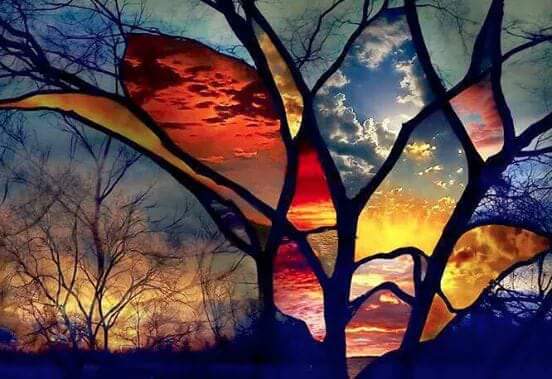 WynsmOnTheRez's tweet image. Love Peacefulness Compassion Blessings 

#SundayGreetings 

Make today about
LOVE LAUGHTER FAMILY FRIENDS NEIGHBOR 

Love 🌎 &amp;amp; all its inhabitants 

✌💕😚🌎