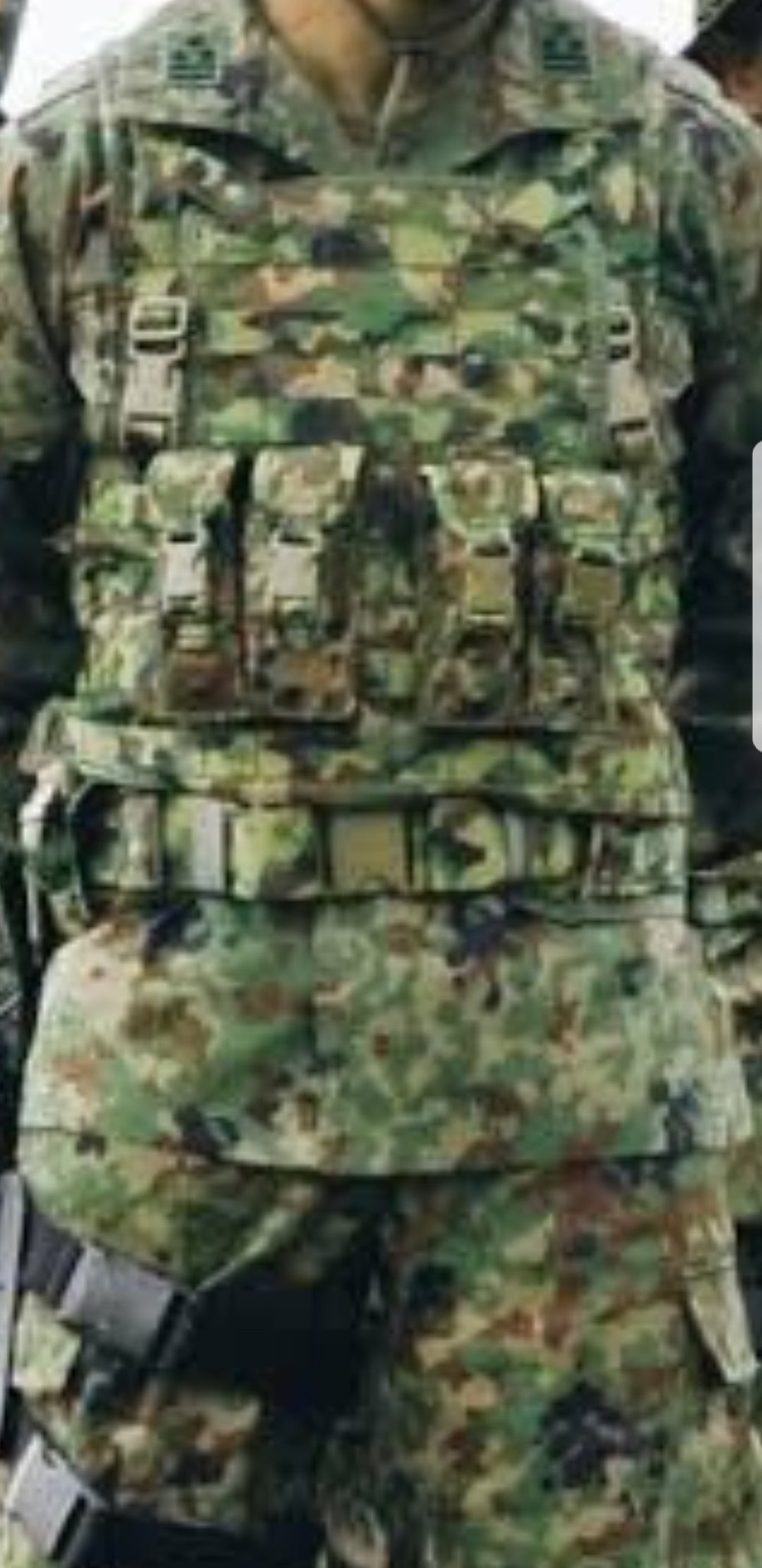 戦闘装着帯　水陸一般用　89式　弾入れ　陸自迷彩　チェストリグ 陸上自衛隊水陸機動団仕様：戦闘装着帯水陸一般用チェストリグ