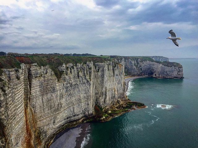 Oceane_wanders's tweet photo. Cliffs. 
#cliffs #etretat #france #travel #ocean #seabird #sea #bird #nature #travel #photo #picoftheday #clouds #explore #view #landscape https://t.co/9zGdCZJxfF