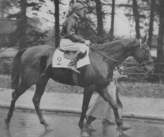 Arc ikonok – trénerek