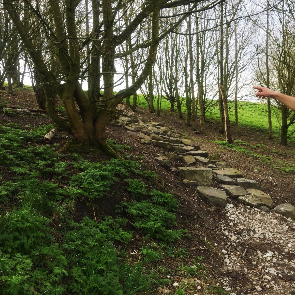 Vandaag geen lange duurloop, maar een super toffe trailrunclinic #trailrunning. Dat is nog eens andere koek dan lange afstand op de weg.