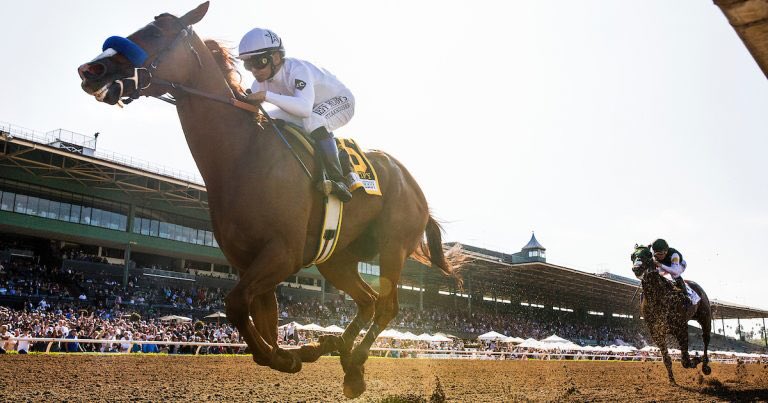 Thoroughbred Insider tweet media