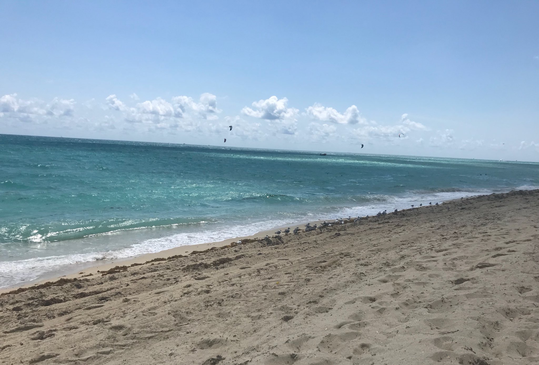 1 pic. Beach Therapy https://t.co/8y2phipYkp