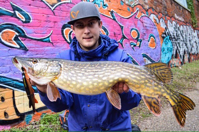 SnaggedBro's tweet photo. Throwback to an Urban Pike from a month ago #pike #fishing #lure #lurefishing https://t.co/aARdsnqB0R