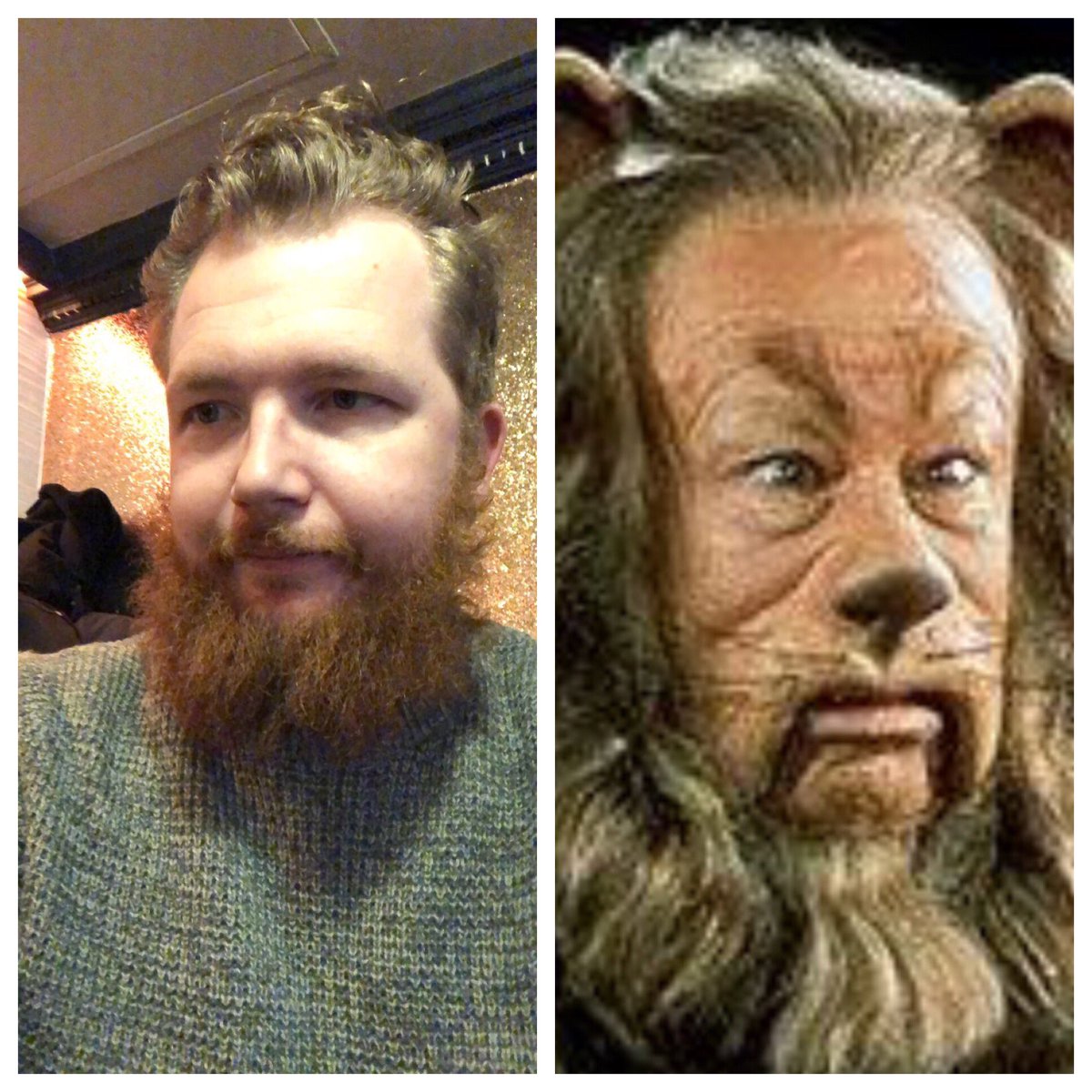 IsThisLifepc's tweet photo. Anyone else think Elliot is looking just like the cowardly lion from wizard of Oz? https://t.co/8iBe8dslp3