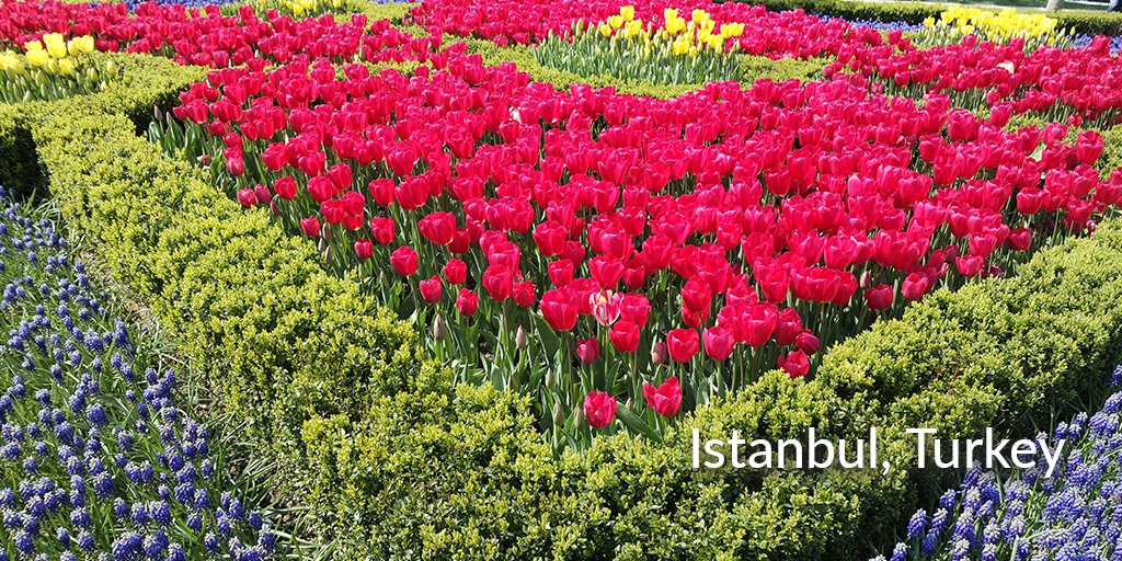 tripediacom's tweet photo. Spring is here and it is the season for tulips in İstanbul. Fall in love with İstanbul while soaking up the Bosphorus view and enjoying the sun &amp; fascinating history. https://t.co/zVdQvmMGjH #springtravel #tulipfestival #istanbulactivities #istanbultours #istanbul #tripediacom https://t.co/dr0JfOKl3G